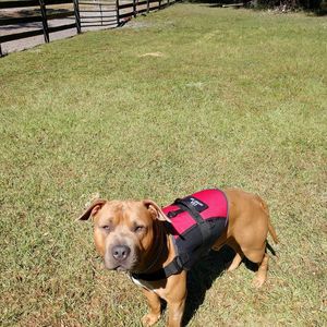 Meet your Posher, Steve